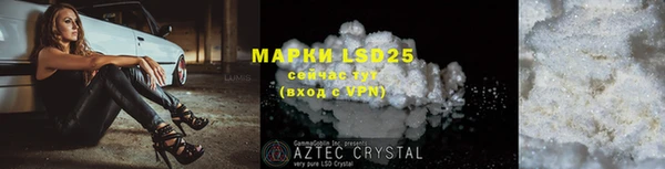 ПСИЛОЦИБИНОВЫЕ ГРИБЫ Абаза