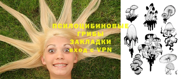 соль ск Абинск