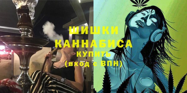 ПСИЛОЦИБИНОВЫЕ ГРИБЫ Абаза