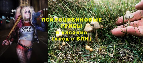 дмт Алексин
