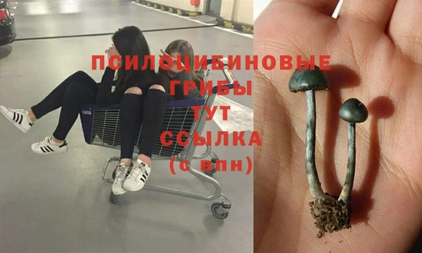 дмт Алексин