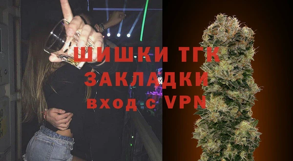 ПСИЛОЦИБИНОВЫЕ ГРИБЫ Абаза