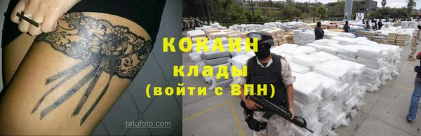ПСИЛОЦИБИНОВЫЕ ГРИБЫ Абаза