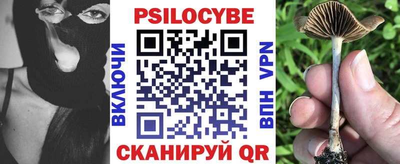 Галлюциногенные грибы GOLDEN TEACHER  Каменногорск 
